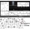 水轉(zhuǎn)印，家具水轉(zhuǎn)印，家具水移畫(huà)