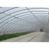 河北溫室大棚施工，春秋用大棚建造，自動化溫室大棚施工【快速get】華亮