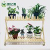宿遷綠蘿吊蘭花架、淮安多層陽(yáng)臺(tái)花架