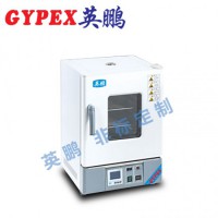 惠州化工廠干燥箱，立式電熱鼓風(fēng)干燥箱